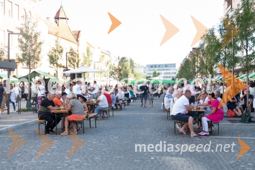 11. Festival prekmurske gibanice in šunke 2021