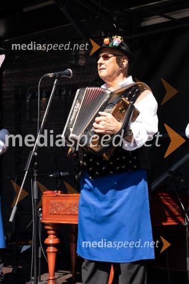 11. Festival prekmurske gibanice in šunke 2021