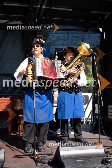 11. Festival prekmurske gibanice in šunke 2021