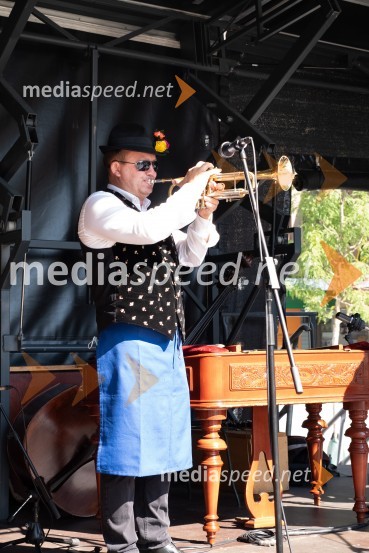 11. Festival prekmurske gibanice in šunke 2021