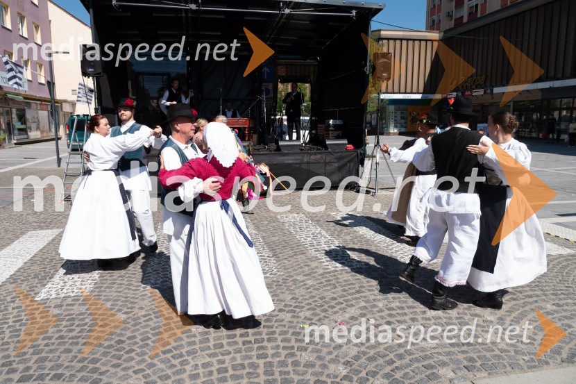 11. Festival prekmurske gibanice in šunke 2021