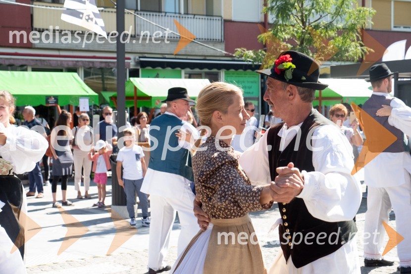 11. Festival prekmurske gibanice in šunke 2021