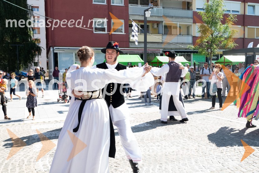 11. Festival prekmurske gibanice in šunke 2021