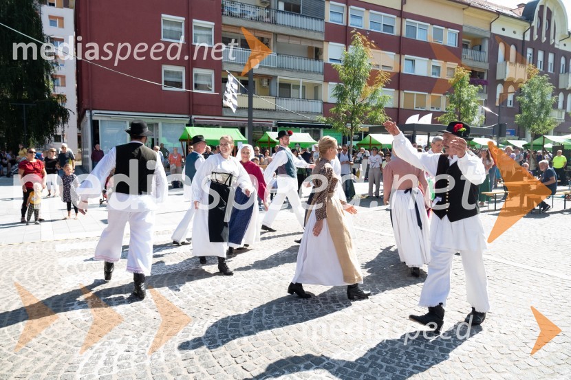 11. Festival prekmurske gibanice in šunke 2021