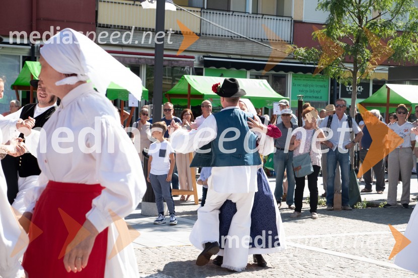 11. Festival prekmurske gibanice in šunke 2021