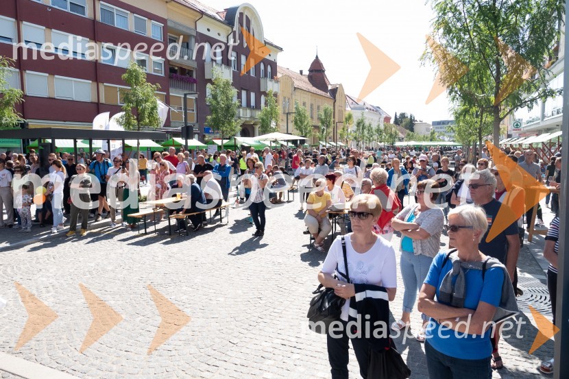 11. Festival prekmurske gibanice in šunke 2021
