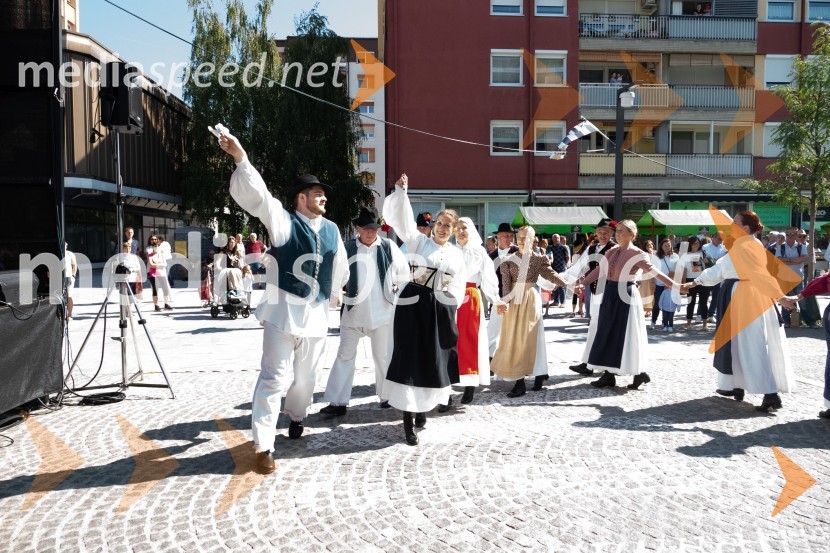 11. Festival prekmurske gibanice in šunke 2021