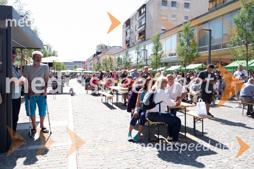 11. Festival prekmurske gibanice in šunke 2021