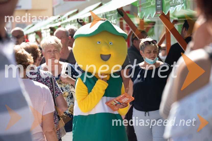 11. Festival prekmurske gibanice in šunke 2021