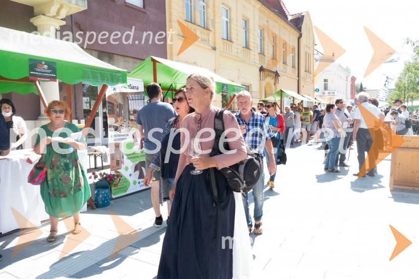 11. Festival prekmurske gibanice in šunke 2021
