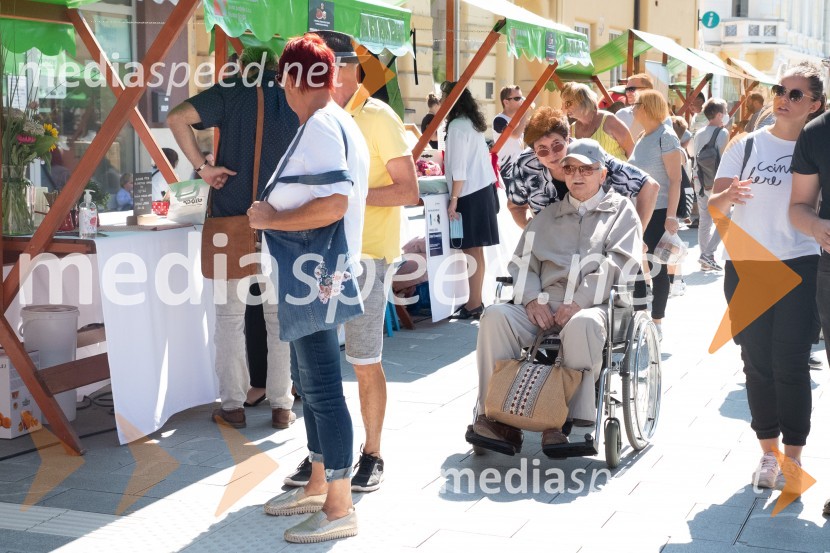 11. Festival prekmurske gibanice in šunke 2021