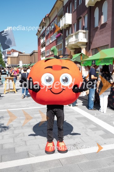 11. Festival prekmurske gibanice in šunke 2021