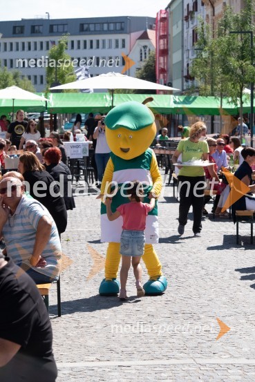 11. Festival prekmurske gibanice in šunke 2021