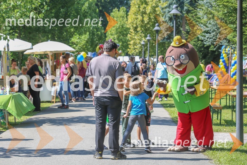 Družinski festival Mačje mesto 2021