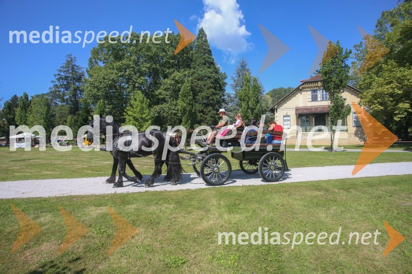 Družinski festival Mačje mesto 2021