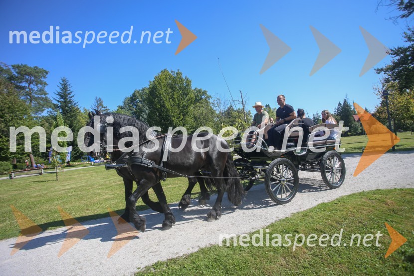 Družinski festival Mačje mesto 2021