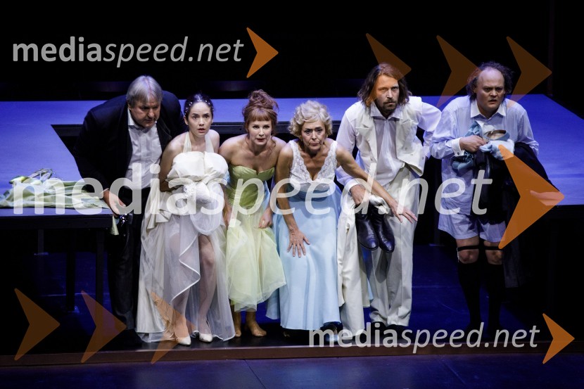  Jožef Ropoša, igralec;  Lara Wolf Završnik, igralka;  Iva Krajnc Bagola, igralka;  Mirjam Korbar, igralka;  Tomo Tomšič, igralec;  Gašper Jarni, igralecZimska poroka, premiera MGL Ljubljana