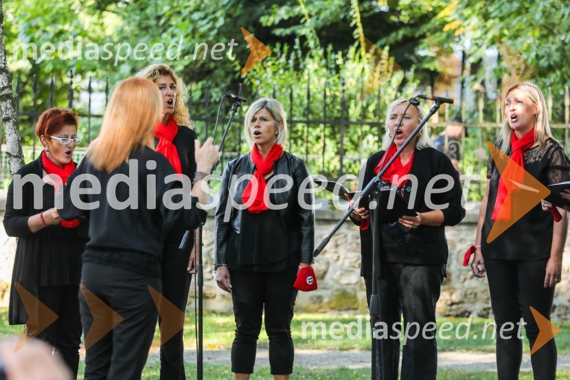 91. obletnica smrti bazoviških junakov