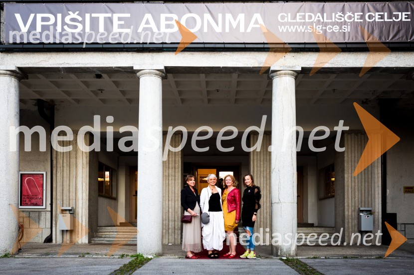 Pravi heroji, premiera SLG Celje